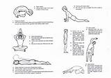 Back Exercises For Sciatica Images