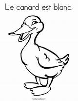 Canard Le Coloring Est Blanc Duck Built California Usa Twistynoodle sketch template
