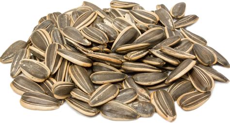 sunflower seeds  health benefits pipingrock health products