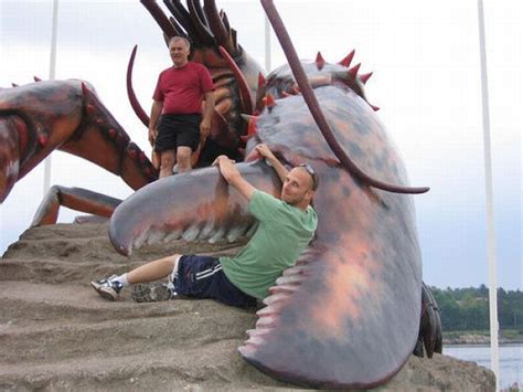 curious funny  pictures worlds largest   pics