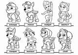 Patrol Paw Coloring Pages Chase Print Pow Cartoon sketch template