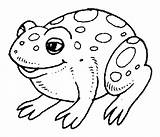 Toad Balta Colorat Colouring Clipart Buhai Planse Desene Amfibieni Animale Designlooter Soparla Webstockreview sketch template