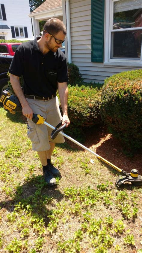 DeWalt 20v String Trimmer Review - Concord Carpenter