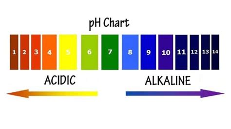 How To Get Your Body S Ph Balanced With Acidic And