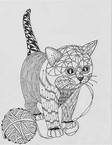 Kwok Ben Coloring Pages Animal Kitty Cat Template Choose Board sketch template