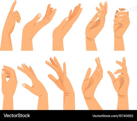hand gestures   positions royalty  vector