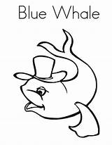 Whale Blue Coloring Wearing Hat Netart sketch template
