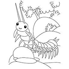 top   printable bug coloring pages    owl coloring