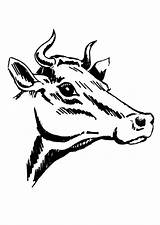Vaca Mucca Cuernos Colorear Vache Koe Disegno Corna Hoorns Kleurplaat Cornes Schoolplaten Sabes Scarica Educima Grote sketch template