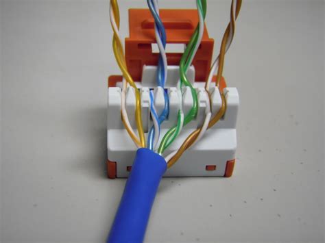 cat keystone jack wiring diagram wiring diagram