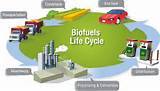 Pictures of Alternative Fuel Microbes