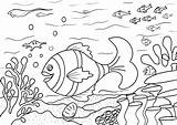 Mandala Coloring Sea Underwater Pages Choose Board Kids sketch template