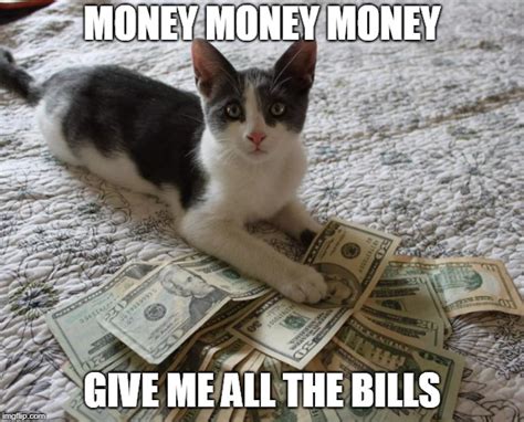 money bling cat imgflip