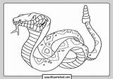 Cobra Snakes Serpiente Serpientes Rincondibujos Navegación sketch template