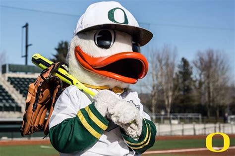 874 best i love my ducks images on pinterest colleges