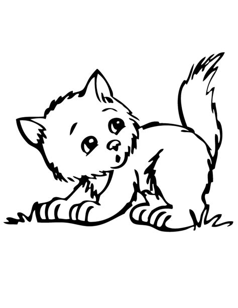 cute kitten coloring pages    print