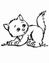 Kitten Pages Cute Coloring Kittens Colouring Printable Outline Color Kitty Kids Print Sheets Printables Clipart Puppies Comment Popular Coloringhome Drawing sketch template