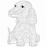 Pages Coloring Bloodhound Gypsy Getcolorings Getdrawings Drawn sketch template