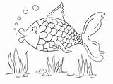 Coloring Fish Colouring Pages Color Drawing Kids Detailed Sheets A4 Summer Animal Sheet Printable Paper Activity Animals Zoo Print Via sketch template