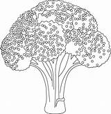 Broccoli Bestcoloringpagesforkids sketch template