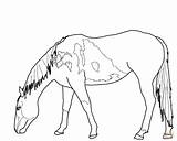 Horse Coloring Pages Mustang Wild Horses Para Grazing Drawing Printable Colorear Bucking Outline Pastando Funny Beautiful Caballos Color Supercoloring Running sketch template