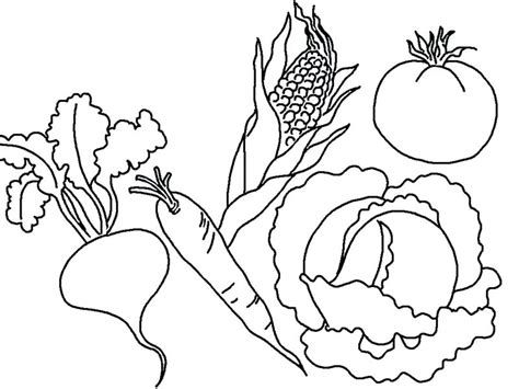 vegetables coloring pages  kindergarten  getcoloringscom