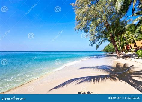 exotic tropical beach stock image image