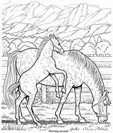 Coloring Horse Pages Friesian Book Color Printable Publications Dover Horses Doverpublications Meadow Template Colouring Drawings Adults Wonderful Welcome Kids Adult sketch template