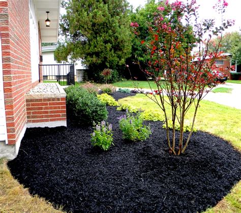 stunning black mulch landscaping ideas