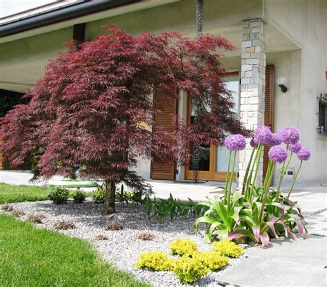 Dalla scelta del terreno, alla cura,. Realizzazione giardini e aiuole - Fumagalli Giulio