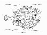Coloring Pages Fish Puffer Wuppsy Animal Kids Printables Choose Board sketch template
