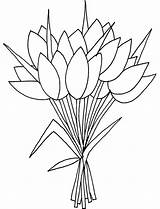 Bunga Mewarnai Melati Tulip Mawar Matahari Gambarcoloring Diposting sketch template
