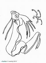 Squid Colouring Colossal sketch template