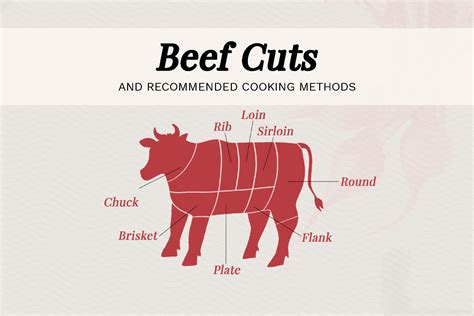 beef tenderloin cut diagram wiring diagrams manual