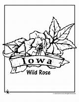 Coloring Flower Iowa State Pages Activities sketch template