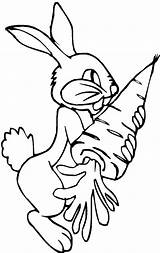 Carrot Coloring Pages Rabbit Eat Favorite Pair Color sketch template