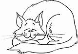 Cat Coloring Sleeping Pages Happily Getcolorings Printable Getdrawings sketch template