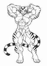 Werecat Female Bodybuilder Drawing Muscle Pokkuti Deviantart Getdrawings Drawings Cramps sketch template