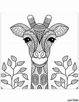 Giraffe Coloring Giraffes Pages Head Color Adult Leaves Kids Print Children Simple Printable Baby Adults Heads Justcolor Animals Fans Group sketch template