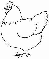 Hen Ayam Suplemen Clipartbest Enzym Clipartmag Petelur Bebek Pemberian Meningkatkan Produksi sketch template