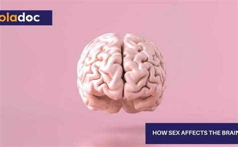 How Sex Affects The Brain Healthy Lifestyle