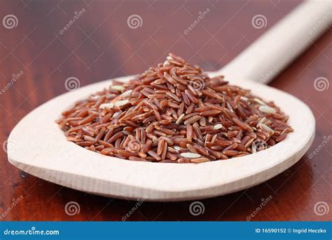 red rice stock photo image  asian indian group ingredient