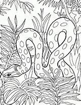 Coloring Pages Snake Colouring Printable Adult Kids Realistic Detailed Letscolorit Animal Mandala Only Zoo Choose Board sketch template