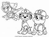 Patrol Paw Coloring Marshall Pages Skye Print Drawing Halloween Printable Characters Bubble Ready Action Sheets Color Getcolorings Thanksgiving Pages2color Getdrawings sketch template