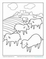 Coloring Sheep Lost Bible Pages Kids Parable Library Clipart Shepherd Activity Drawing Sundayschoolzone Template Great Popular sketch template