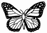 Farfalle Farfalla Papillon Sommerfugl Tegninger Coloriage Fargelegge Fargelegging Sommerfugler Coloriages Stampa Questa sketch template