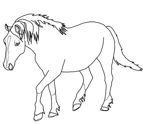 coloring pages  horses rearing  getcoloringscom  printable