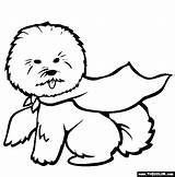 Bichon Coloring Frise Online Pages Dogs Drawing Dog Getdrawings Akita sketch template