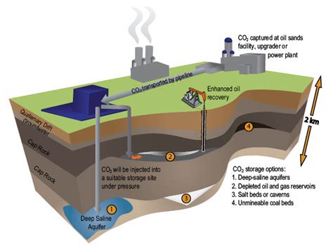 carbon sequestration projects  solution    problem