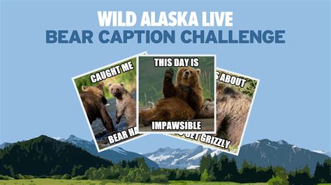 Home Wild Alaska Live Pbs